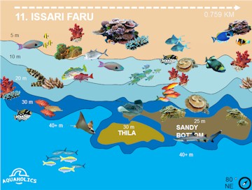 Issari Faru